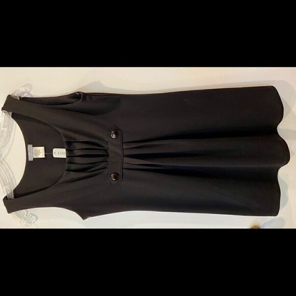 Lilly Lou Dresses & Skirts - LILLY LOU NWT Women's Black Dress With Button Detail At High Waist Size Small